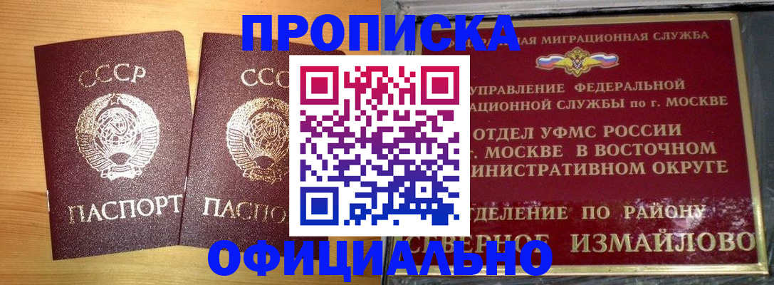 купить прописку в Курской области