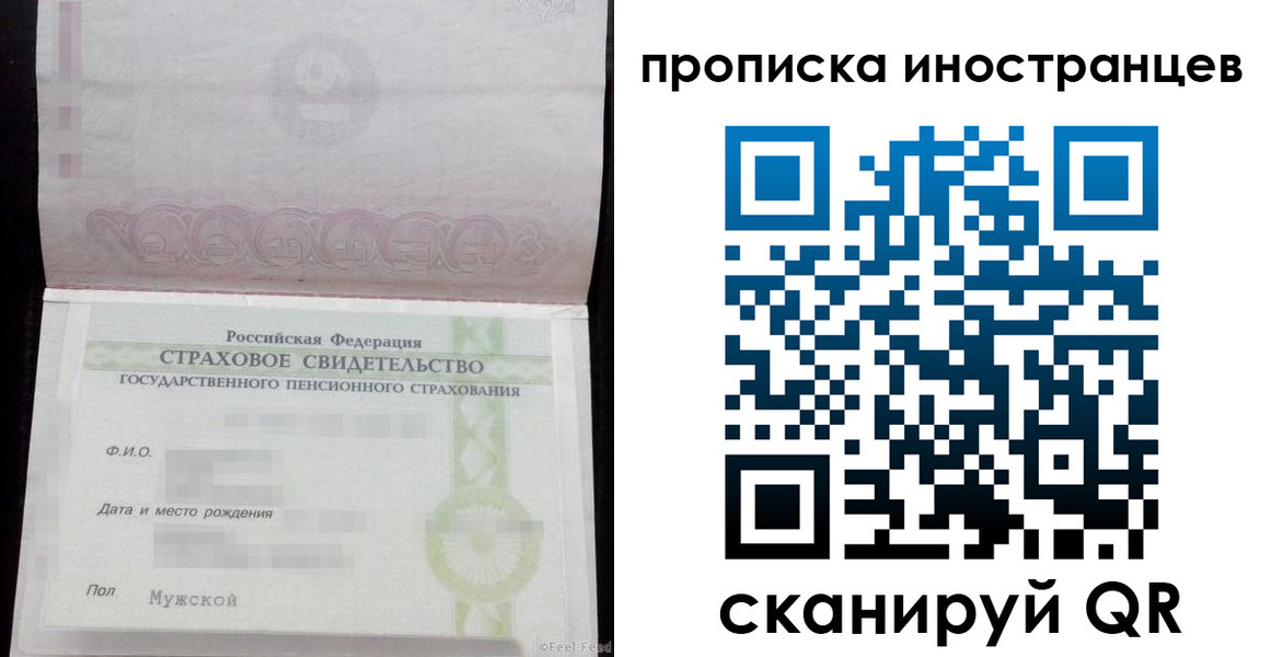 прописка гарантия в Курской области